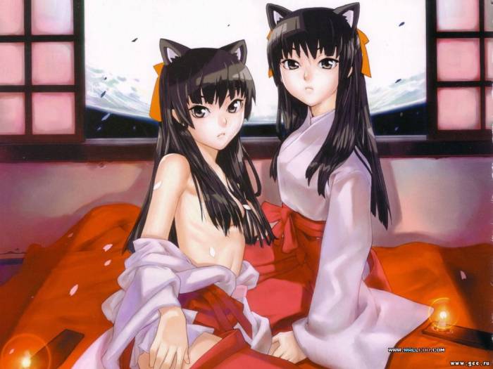 chiboard-b1t12569-20070618_image-chatons-0210_upby-Tomato.jpg