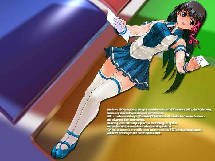 chiboard-b1t12674-20070623_windowsxpok5_upby-Devilblood.jpg