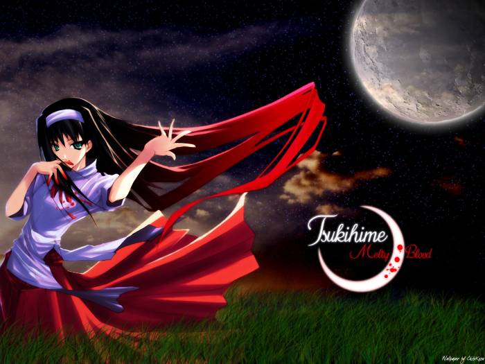 83975AKIHA_TSUKIHIME.JPG