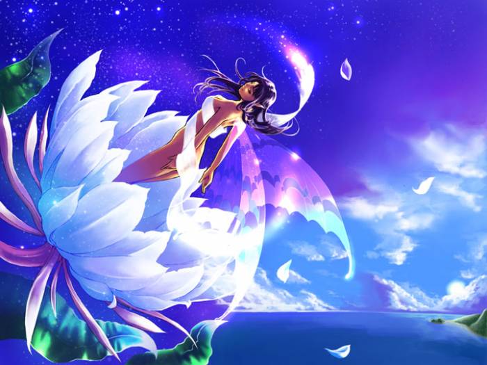 chiboard-b1t13393-20070701_2007-06-28-60863_upby-Devilblood.jpg