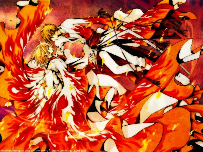 chiboard-b1t13522-20070704_animepaperwallpaperstsubasares_upby-Vaati.jpg