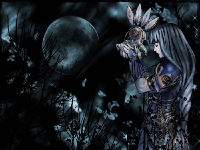 chiboard-b1t13710-20070709_wall_valkyrie_profile_1024_upby-Vaati.jpg