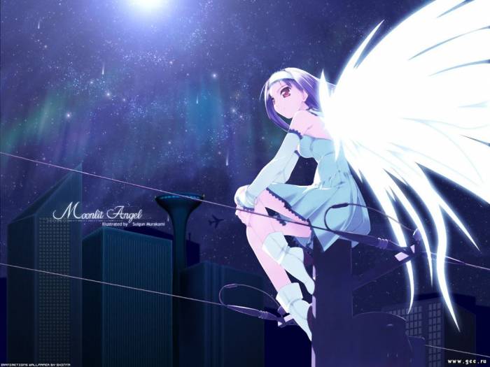 chiboard-b1t14625-20070726_Manga-image-moonlit-angel-0724_upby-shuyin88.jpg