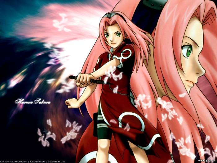 chiboard-b1t14689-20070727_Manga-image-sakura-0889_upby-shuyin88.jpg
