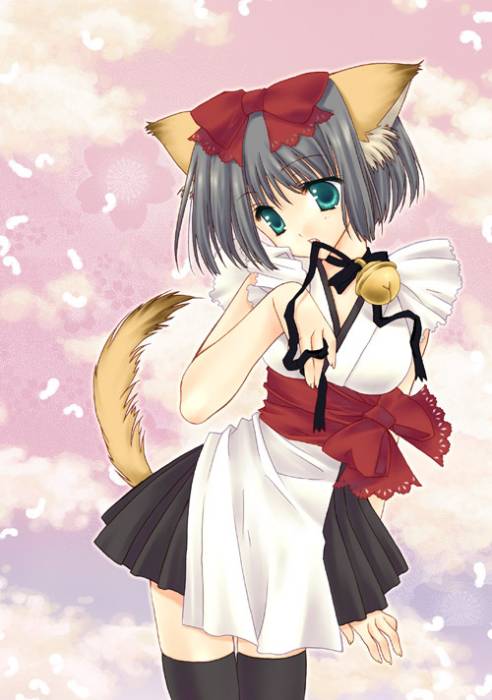 neko.jpg