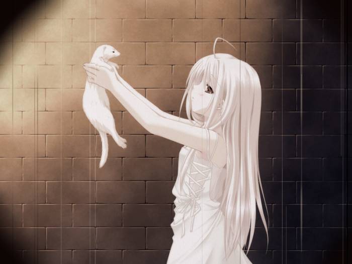 chiboard-b1t15243-20070807_0043_upby-Devilblood.jpg