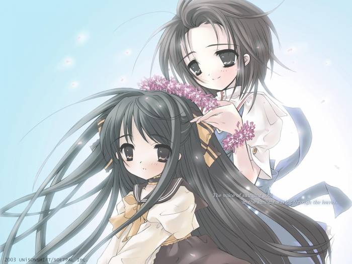 chiboard-b1t15454-20070810_1139888503237_upby-Kotori.jpg