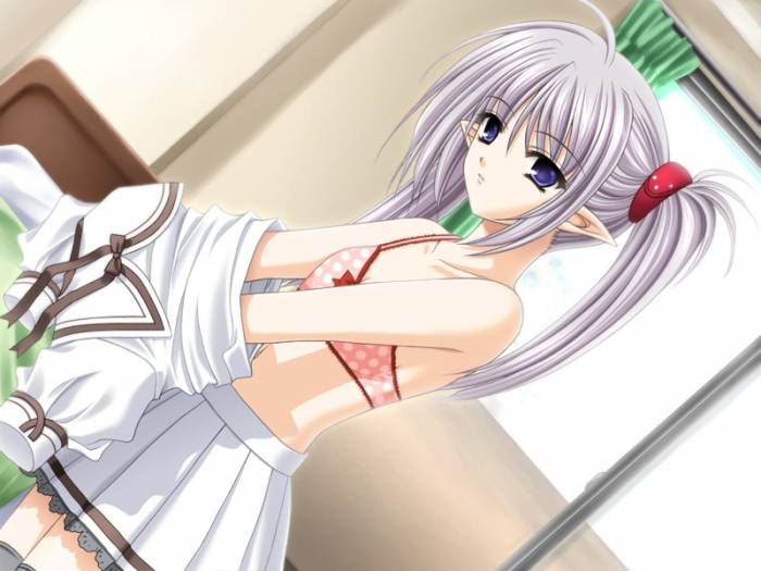 chiboard-b1t15515-20070812_VGPR_01A_upby-Kotori.jpg