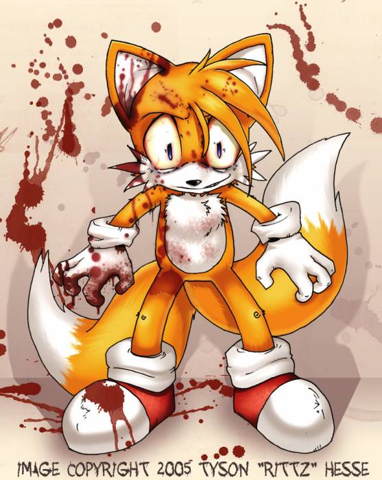 chiboard-b3t16733-20070915_OMG_TAILS_WTF_MATE_LOLZ_upby-anonymous.jpg