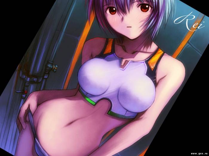 chiboard-b1t17035-20071004_Evangelion-image-rei-018_upby-Loutre_berzerk.jpg