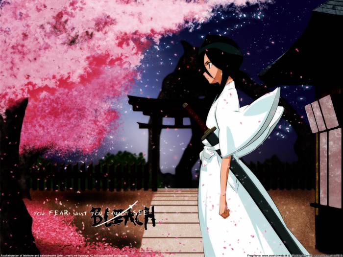Bleach.jpg