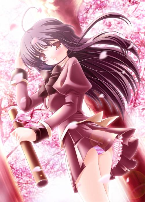 chiboard-b1t17352-20071022_brune_upby-Tatsu.jpg