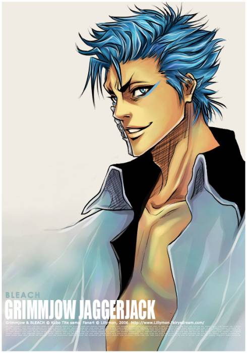 chiboard-b2t17497-20071025_Bleach___Gimmjow_6_by_Lillymon_upby-Duky.jpg