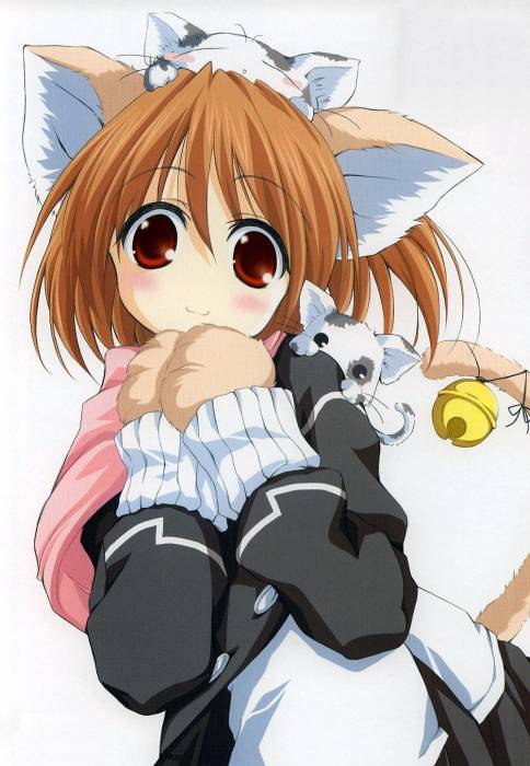 chiboard-b1t17766-20071028_00a52b4b3e99409d1241f969e4b96252_upby-Tatsu.jpg