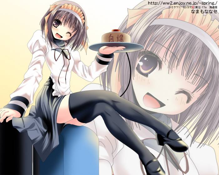 chiboard-b1t18130-20071103_hatuhi_upby-Nashi.jpg