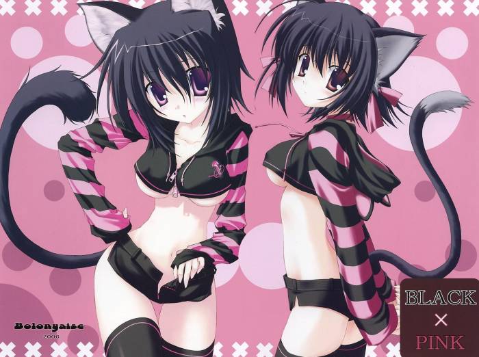 chiboard-b1t18135-20071103_nekochanremixxz8_upby-Suiginto_Maiden.jpg