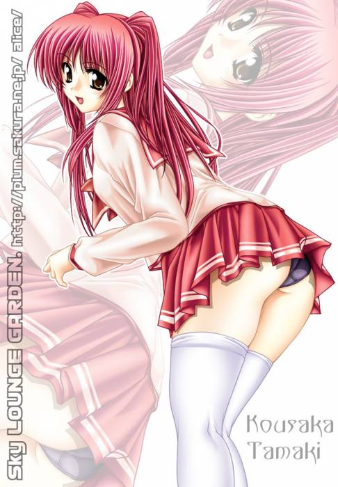 chiboard-b1t18497-20071114__5Baisubeki_fr_tc_5Decchi057_upby-shuyin88.jpg