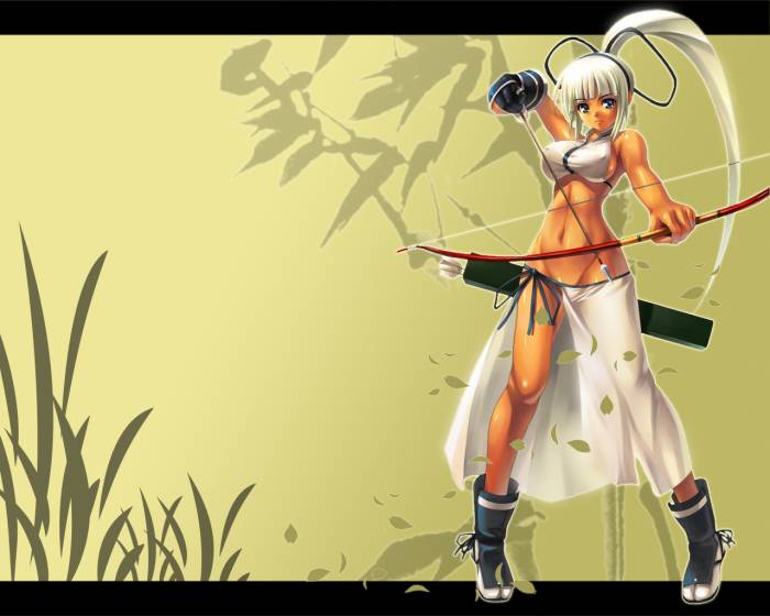 chiboard-b1t18601-20071116_Minitokyo_Anime_Wallpapers_Samurai_Spirits_58382_upby-Suiginto_Maiden.jpg