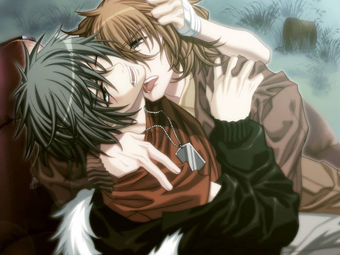 chiboard-b2t18882-20071118_togainunochi089_upby-Sylphe.jpg