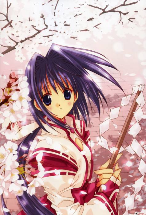 chiboard-b1t18946-20071119_1212124_upby-Devilblood.jpg