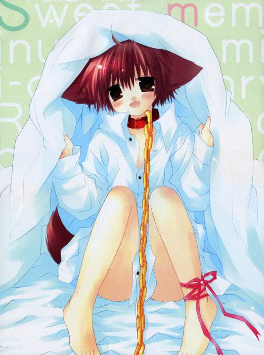 chiboard-b1t19172-20071124_05b5bff9f246d7fe64d922d9ae3d56e3_upby-Devilblood.jpg