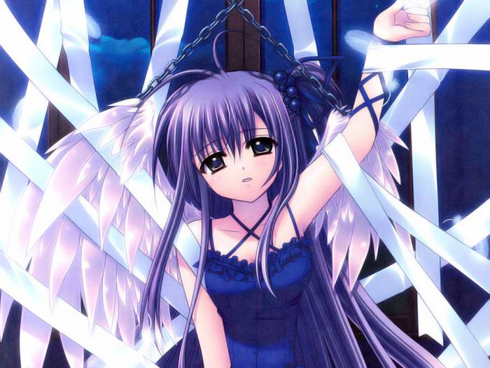 chiboard-b1t19173-20071124_2007-10-26-77435_upby-Devilblood.jpg