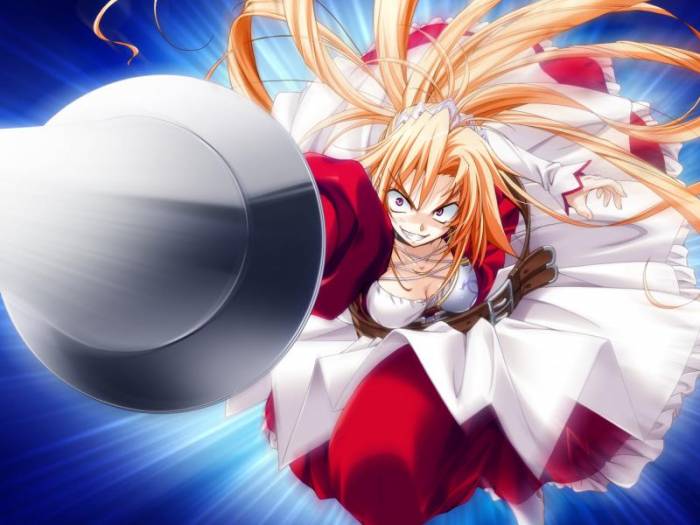 chiboard-b1t19469-20071130_Berserk_Lancer_upby-Sashiel.jpg