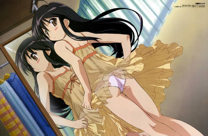 chiboard-b1t19508-20071202_Shana1_upby-Nashi.jpg