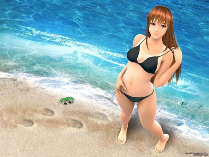 chiboard-b1t19808-20071209_Art-Manga-wallpaper-maillot-de-bain-800-600-019_upby-Insane-R.jpg
