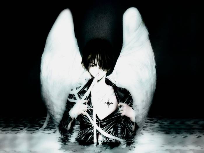 chiboard-b2t19830-20071212_angel_sanctuary_27_upby-Djchat.jpg