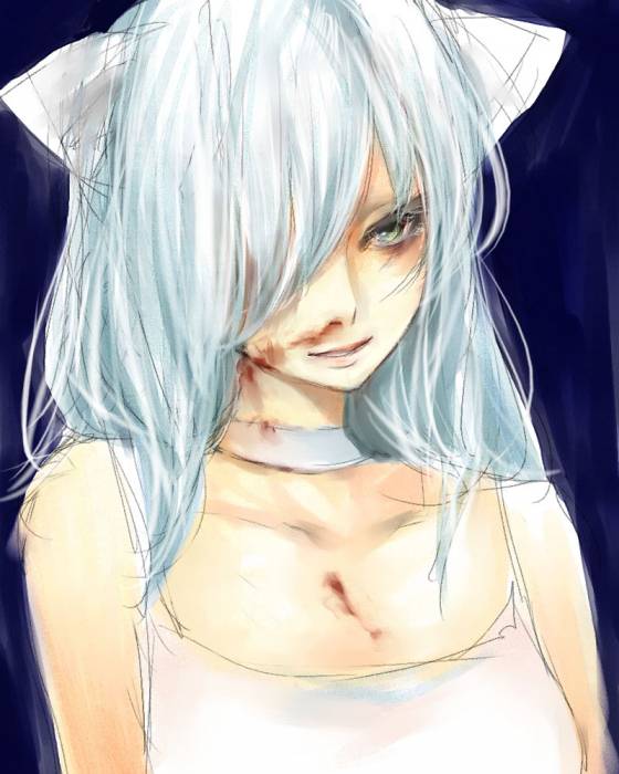 chiboard-b3t20181-20071221_181330fd5632bd52264b94c0c1b632da_upby-Devilblood.jpg