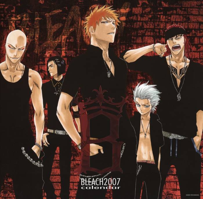 chiboard-b2t20219-20071221_bleach_489_upby-selene.jpg