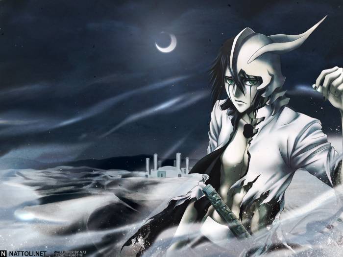 chiboard-b2t20362-20071223_acf168d91bc788c54fcfec18d0d90088_upby-Devilblood.jpg