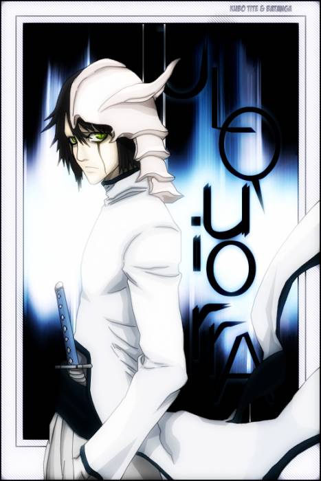 chiboard-b2t20394-20071224_bleach_1055_upby-selene.jpg