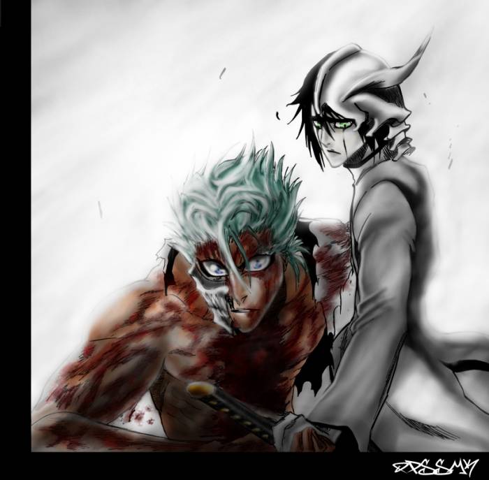 chiboard-b2t20395-20071224_bleach_423_upby-selene.jpg