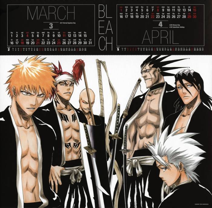 chiboard-b2t20424-20071224_bleach_1008_upby-selene.jpg