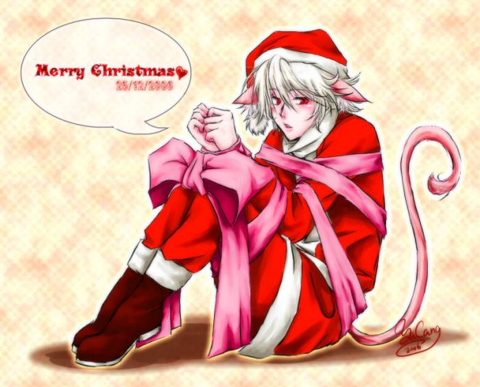 chiboard-b2t20432-20071224_merry_christmas_by_dorset_upby-Duky.jpg