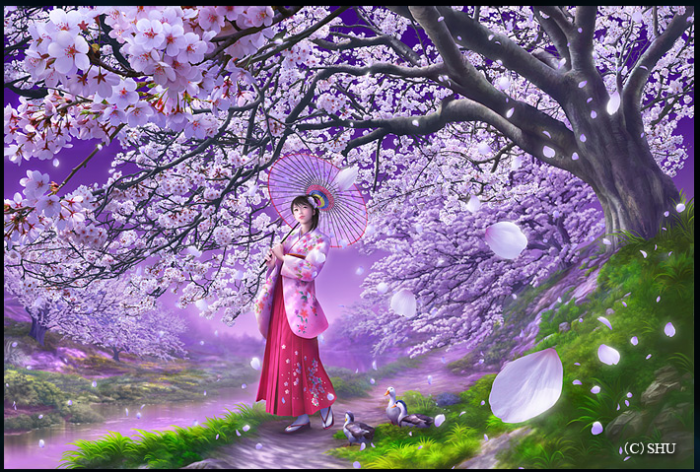 chiboard-b1t20530-20071226_cerisier_upby-selene.png