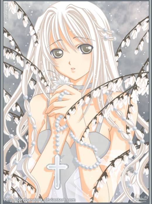 ___EDELWEISS____by_Arehandora.jpg