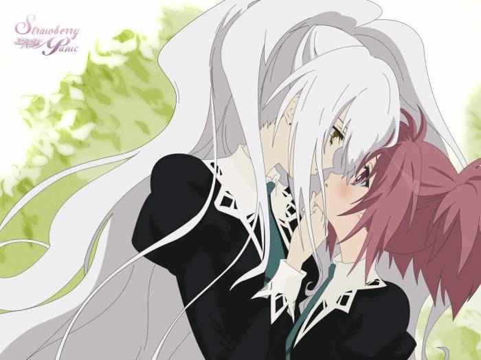 chiboard-b1t20657-20071229_nagisaxshizuma_upby-Feather.jpg