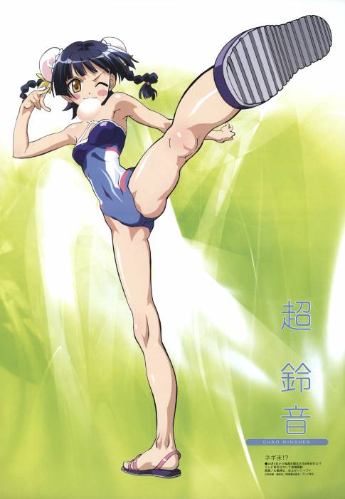 chiboard-b1t20719-20071230_linshen_upby-Feather.jpg