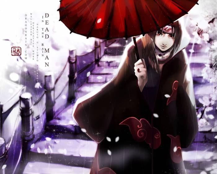 chiboard-b2t21063-20080106_naruto-09724-1280x1024_upby-Duky.jpg