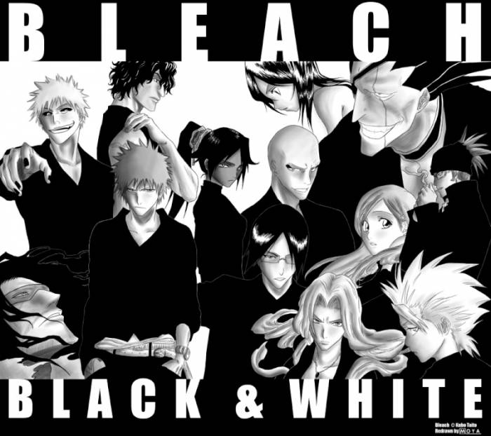chiboard-b1t21121-20080107_bleach11-124834_upby-Arashi.jpg