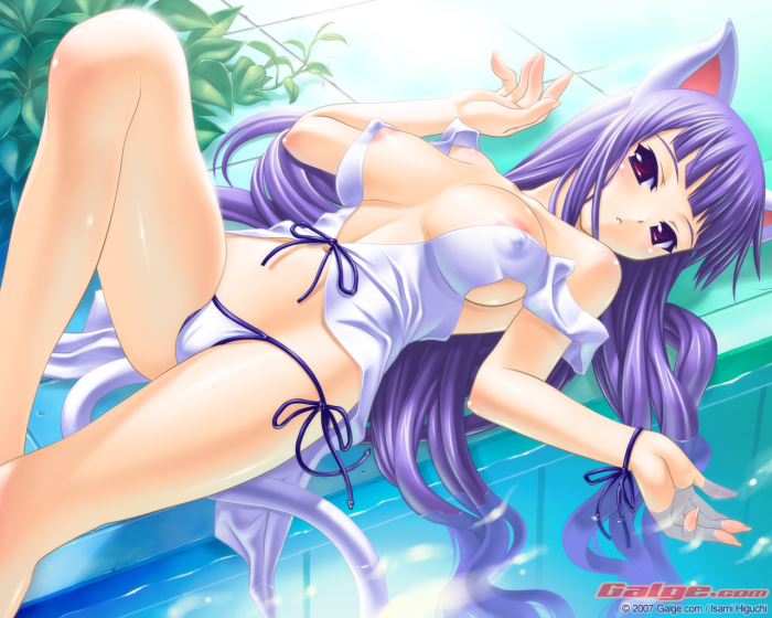 chiboard-b1t21126-20080107_Konachan.com-19877-catgirl_ecchi_upby-Insane-R.png