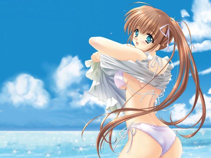 chiboard-b1t21128-20080107_Konachan.com-19719-bikini_carnelian_ecchi_tagme_upby-Insane-R.jpg
