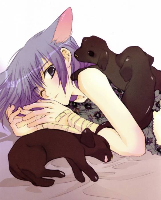 chiboard-b2t21241-20080110_366_20loveless_upby-Hecate_Chaton.jpg
