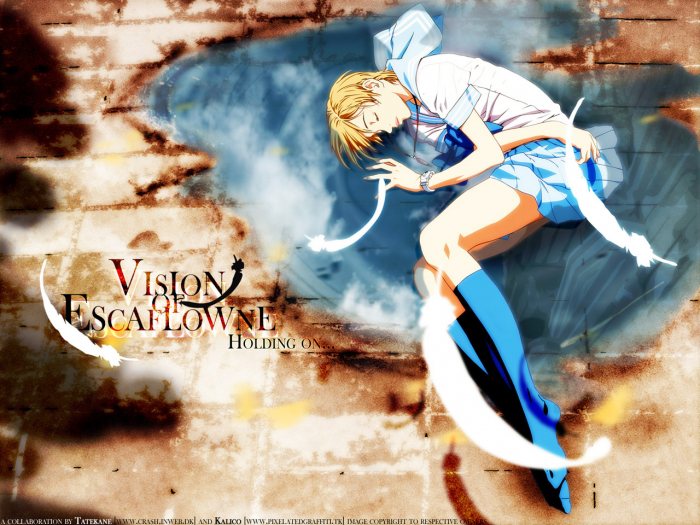 chiboard-b1t21341-20080111_Sans_titre_2_upby-Selene.png