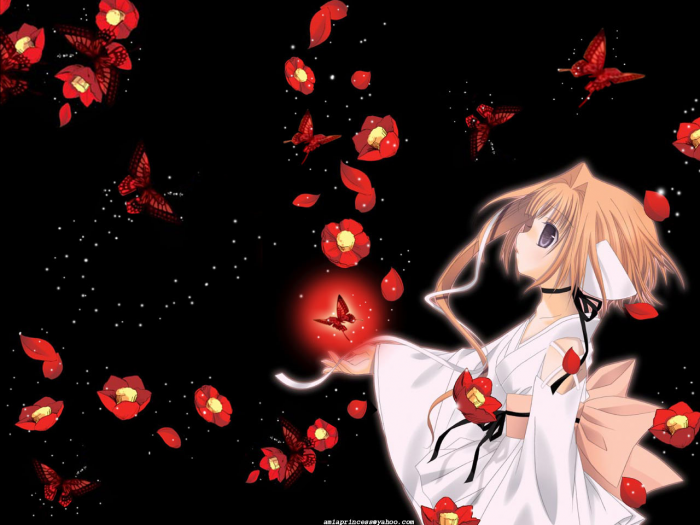 chiboard-b1t21344-20080111_Sans_titre_5_upby-Selene.png
