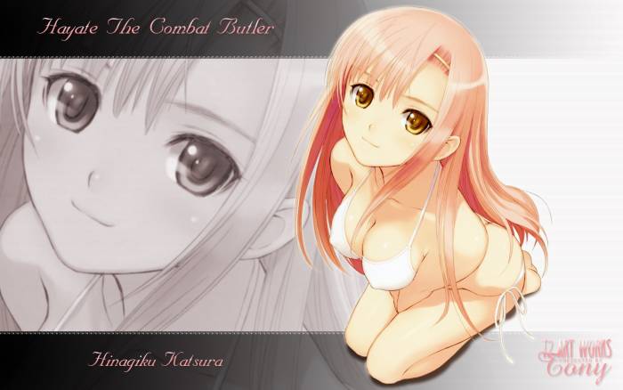chiboard-b1t21351-20080111_-22090-bikini_hayate_no_gotoku_hinagiku_katsura_taka_tony_upby-Insane-R.jpg