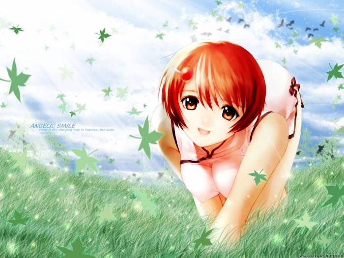 chiboard-b1t21355-20080111_-27490-kazoku_keikaku_taka_tony_takayashiki_haruka_upby-Insane-R.jpg